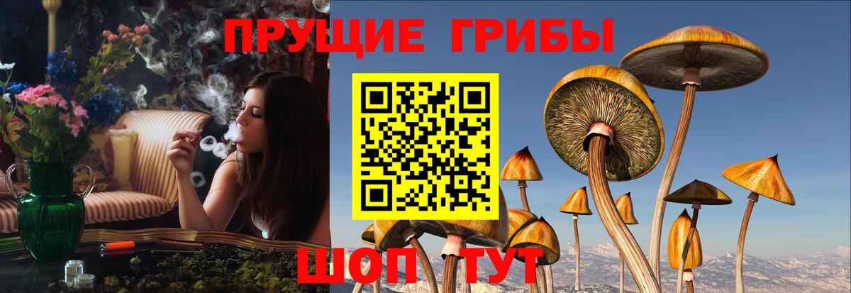 Галлюциногенные грибы ЛСД  Галлюциногенные грибы Psilocybine cubensis  Мытищи  Вход с VPN 