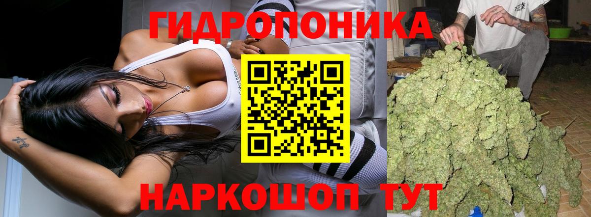 Каннабис конопля  Бошки Шишки тримм  Мытищи  Вход с VPN  Марихуана марихуана  Каннабис AK-47 